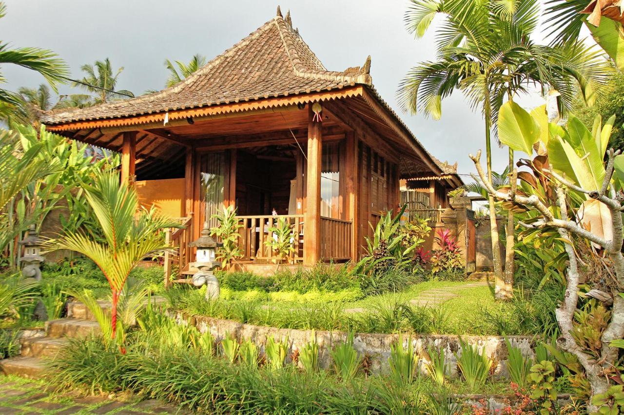 Vinarya Villa Убуд Экстерьер фото